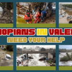 Colaboración para apoyar a las víctimas de la inundación en Valencia