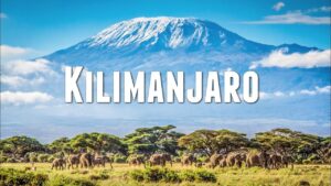 Nevada destacada en el Monte Kilimanjaro: un espectáculo natural que impulsa el turismo en África Oriental